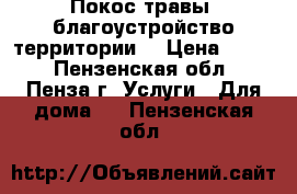 Покос травы, благоустройство территории. › Цена ­ 100 - Пензенская обл., Пенза г. Услуги » Для дома   . Пензенская обл.
